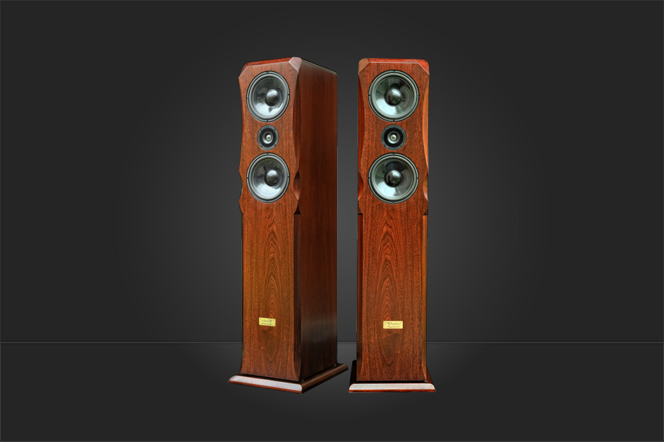 taylor acoustic speakers